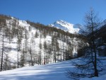 IMG_4657.jpg