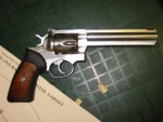Highlight for Album: The Shooting Range