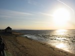 Highlight for Album: Hoylake